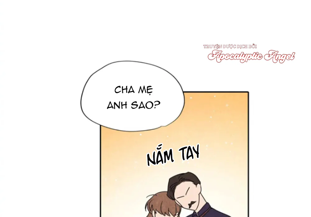 Đọc truyện Một Bó Rau Chân Vịt - Chapter 11