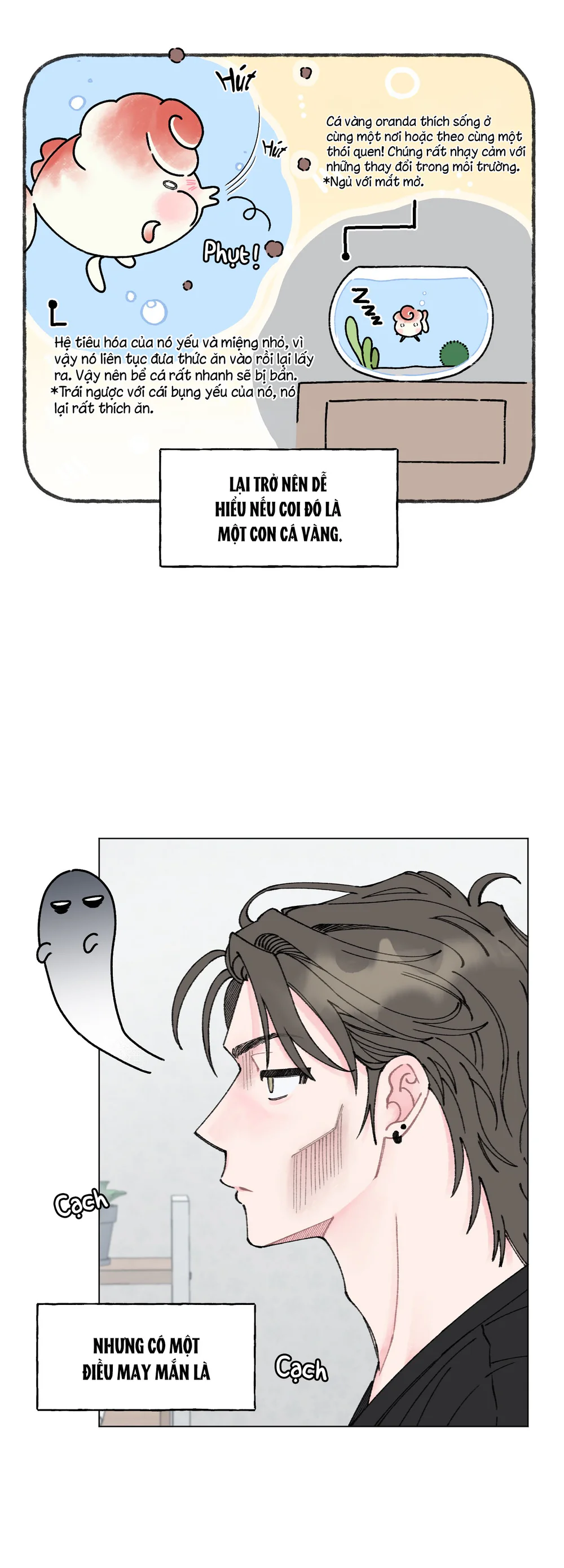 Đọc truyện Oranda Đáng Yêu - Chapter 3