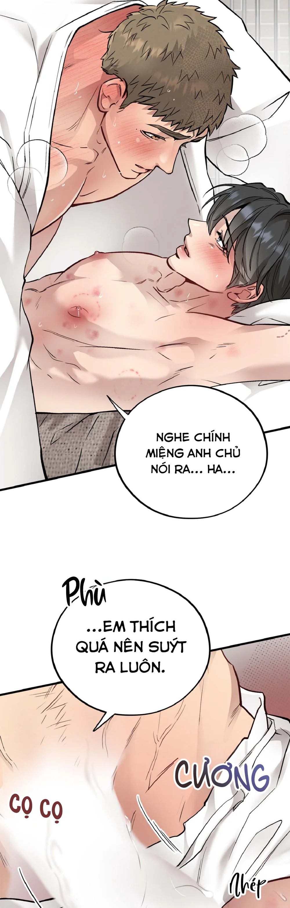 Đọc truyện MẬT GẤU - Chapter 66