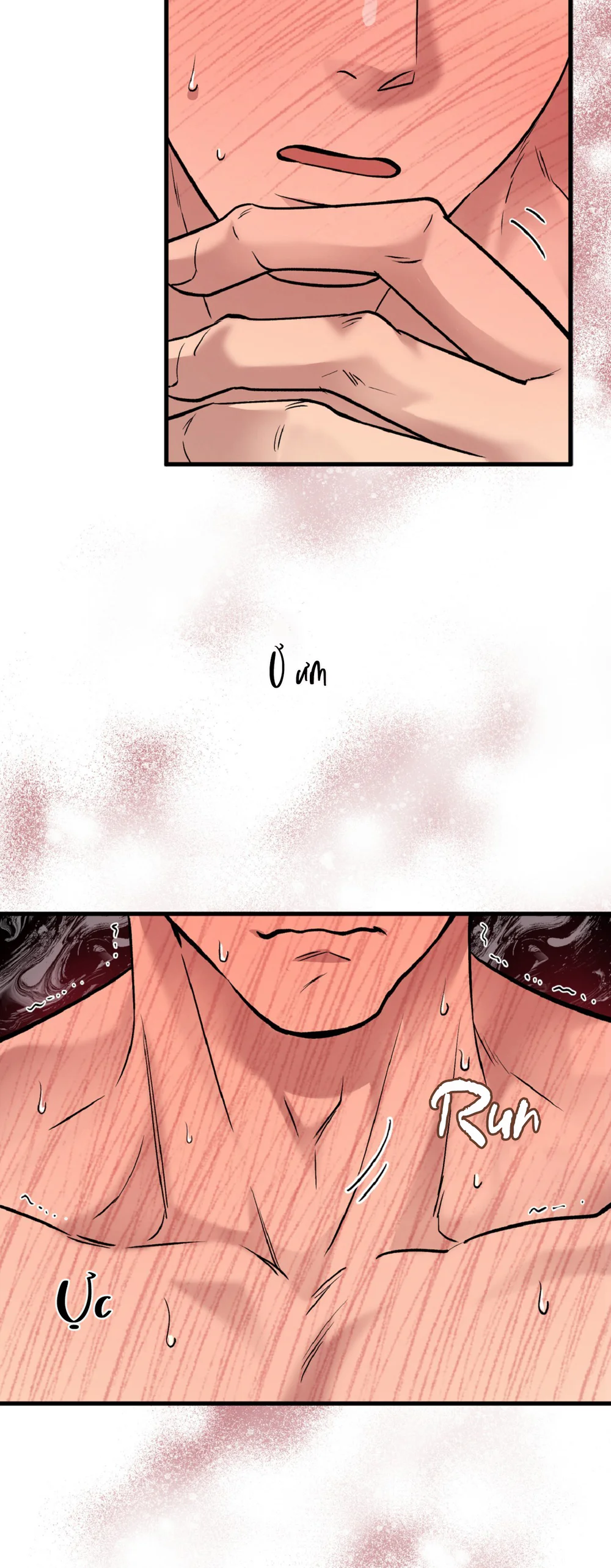 Đọc truyện MẬT GẤU - Chapter 67