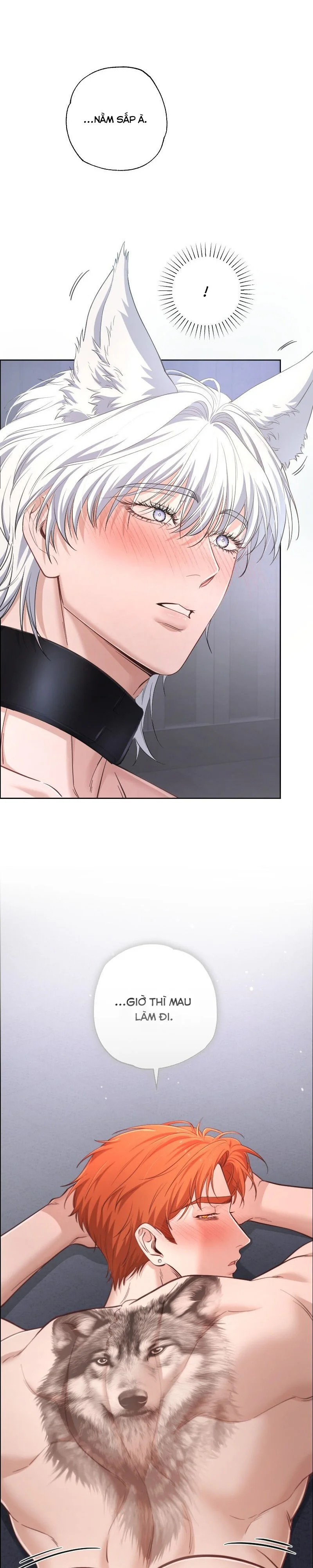 Đọc truyện SÓI VÀ CỪU LƯU MANH - Chapter 4