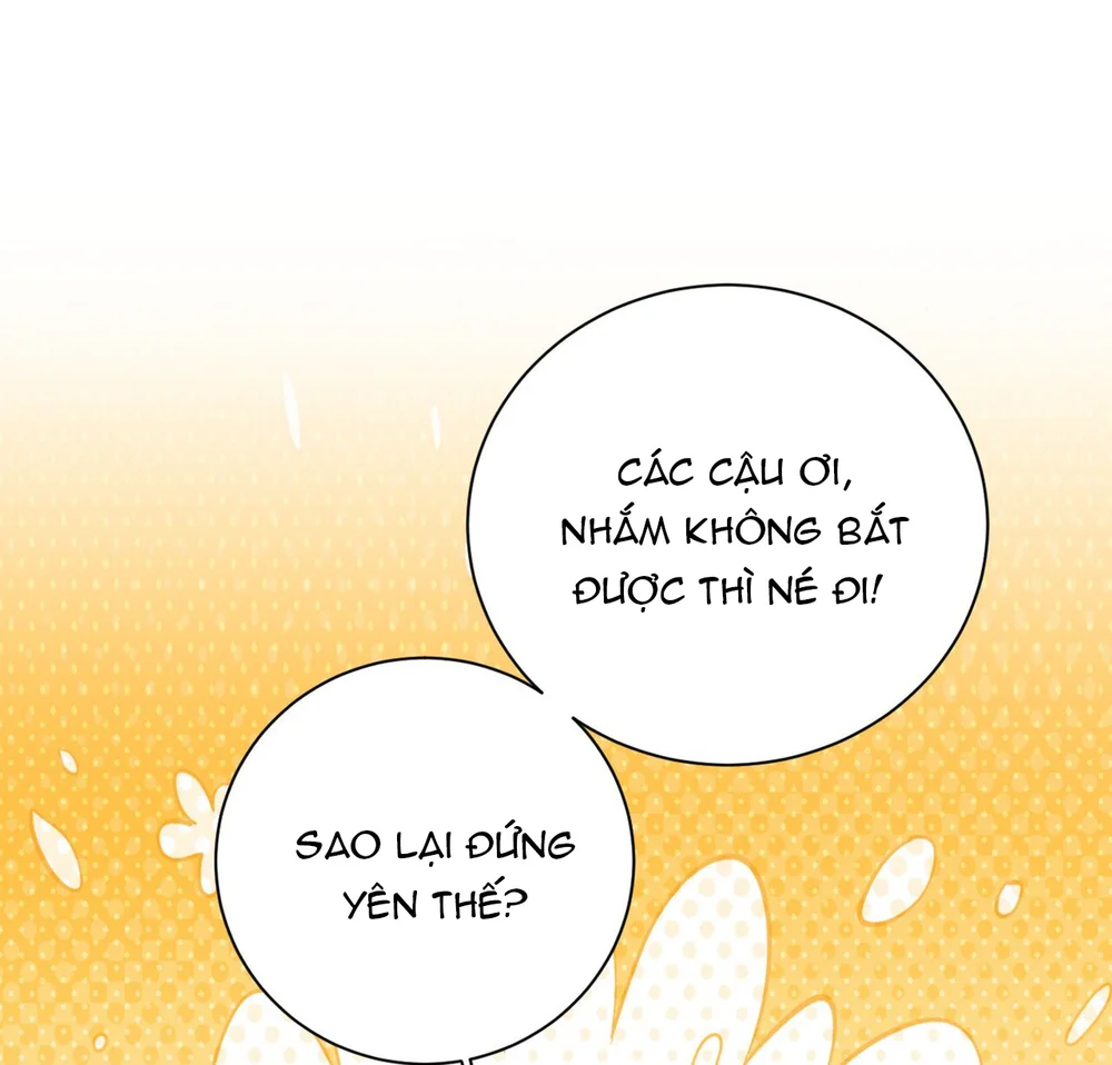 Đọc truyện Cảnh Báo Thú Săn Mồi - Chapter 28