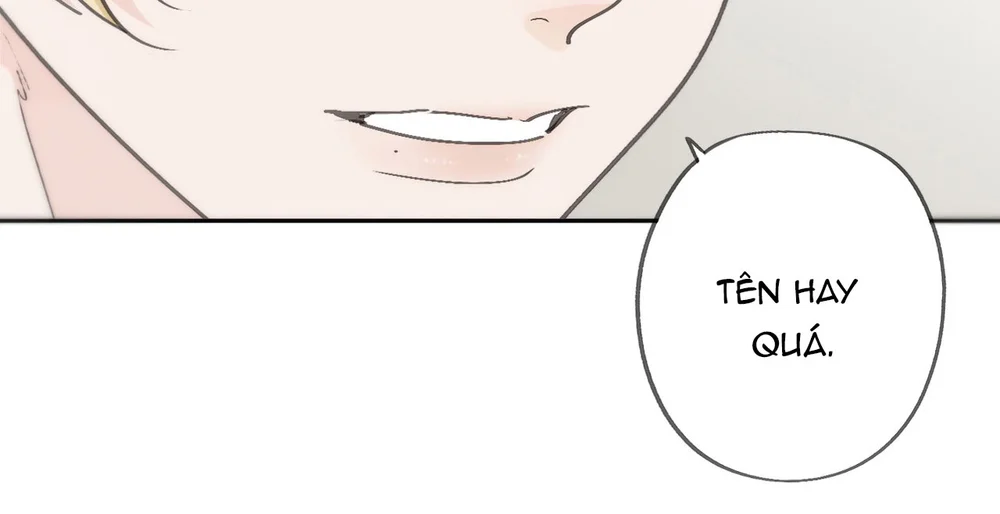Đọc truyện Tim Đập Loạn Nhịp - Chapter 4