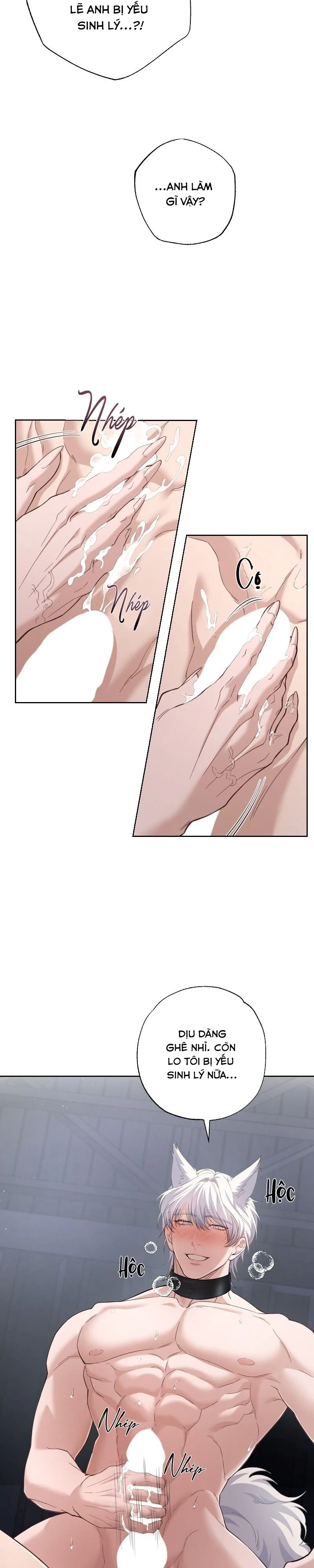 Đọc truyện SÓI VÀ CỪU LƯU MANH - Chapter 5