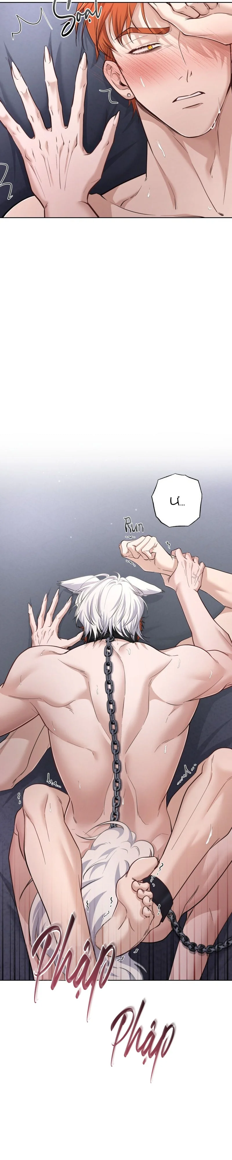 Đọc truyện SÓI VÀ CỪU LƯU MANH - Chapter 5