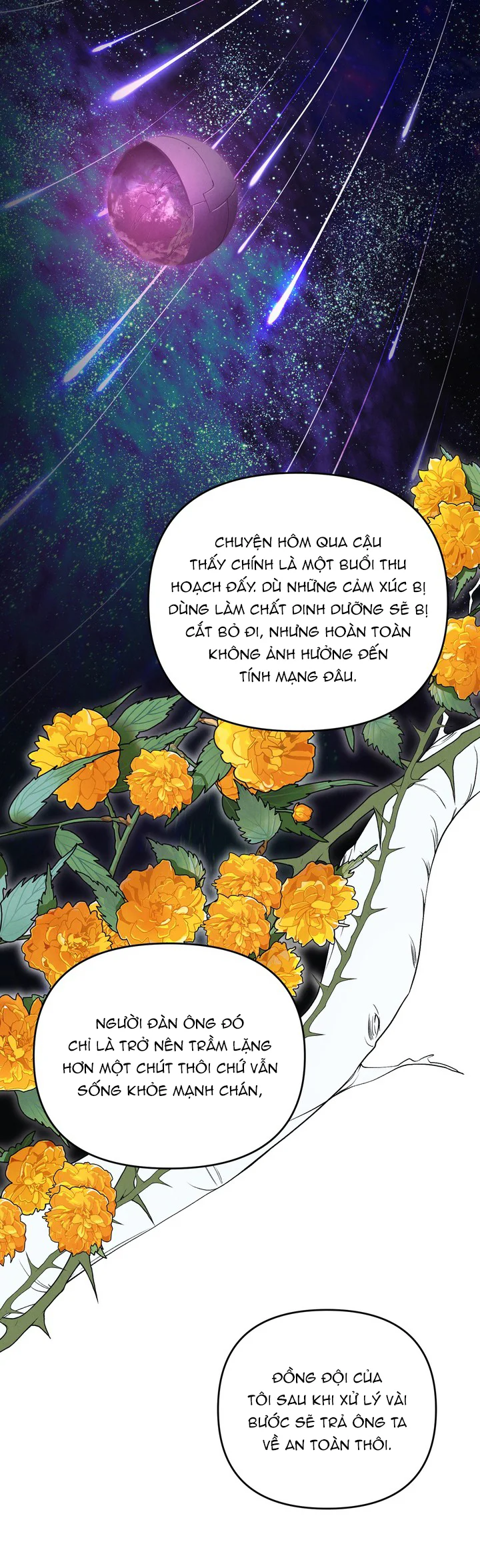 Đọc truyện Tinh Vân - Chapter 2