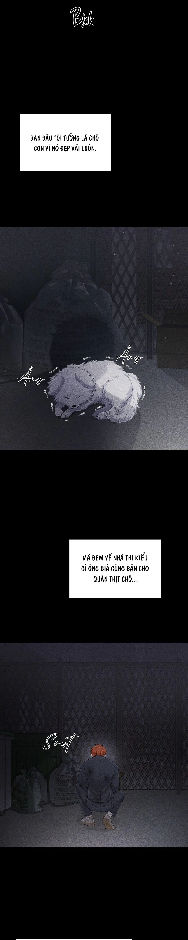 Đọc truyện SÓI VÀ CỪU LƯU MANH - Chapter 6