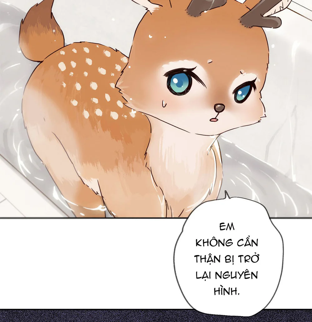 Đọc truyện Tim Đập Loạn Nhịp - Chapter 6