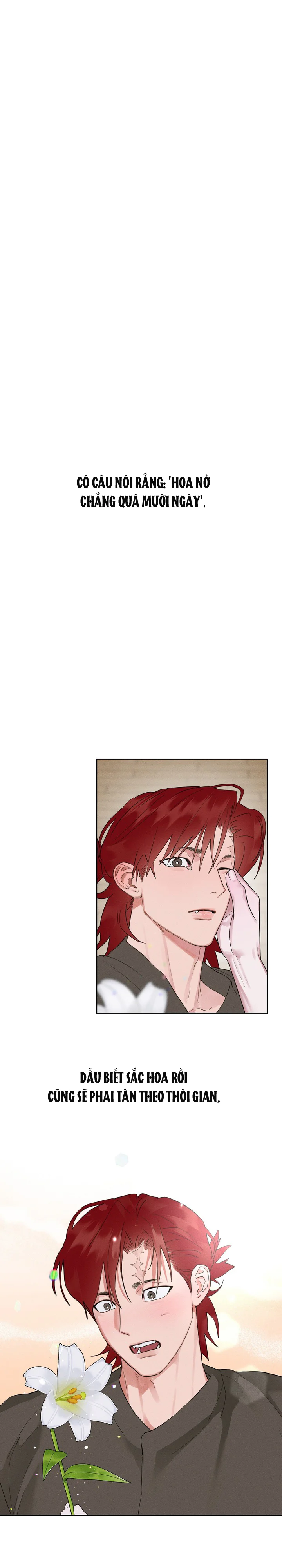 Đọc truyện Tuyển Tập Manhwa Ngắn Nhà Mèo Méo Meo Mèo Meo - Chapter 7.8