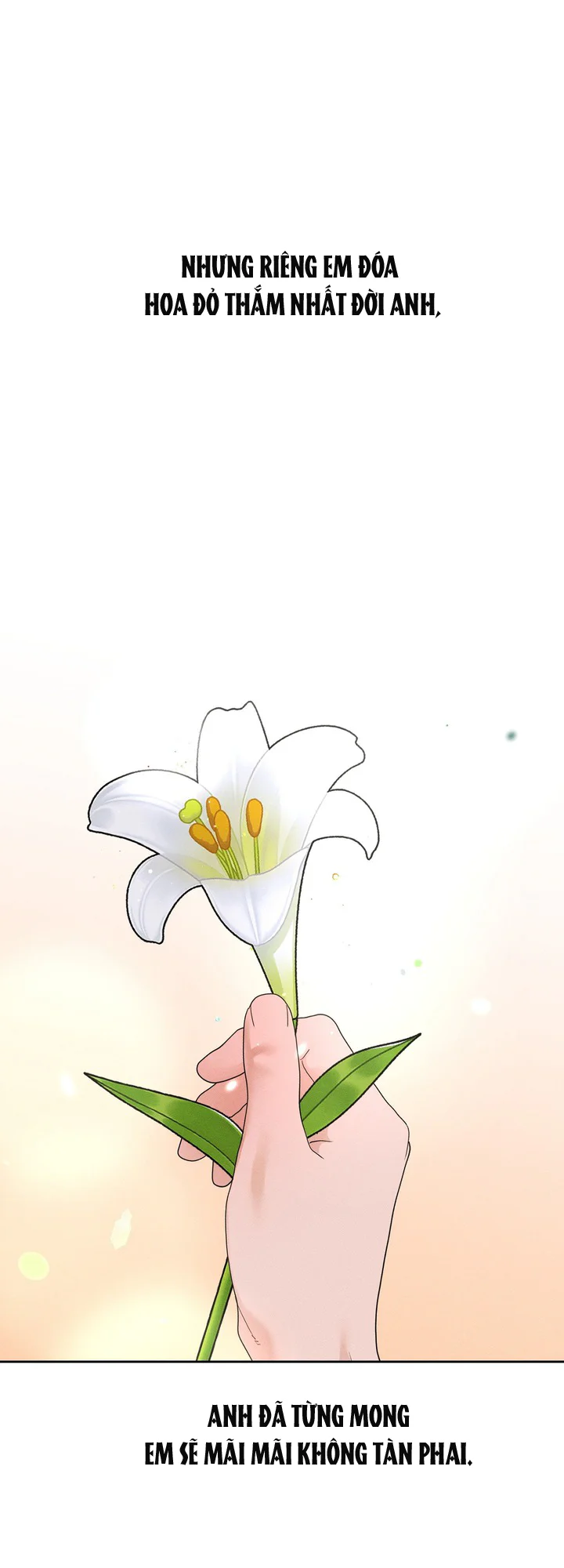 Đọc truyện Tuyển Tập Manhwa Ngắn Nhà Mèo Méo Meo Mèo Meo - Chapter 7.8