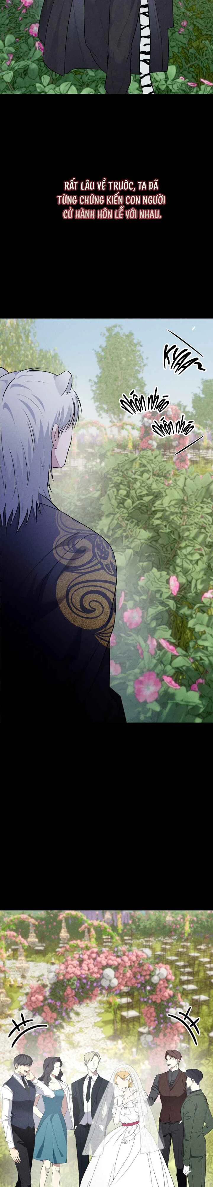 Đọc truyện Hôn Lễ Của Thần Núi - Chapter 9