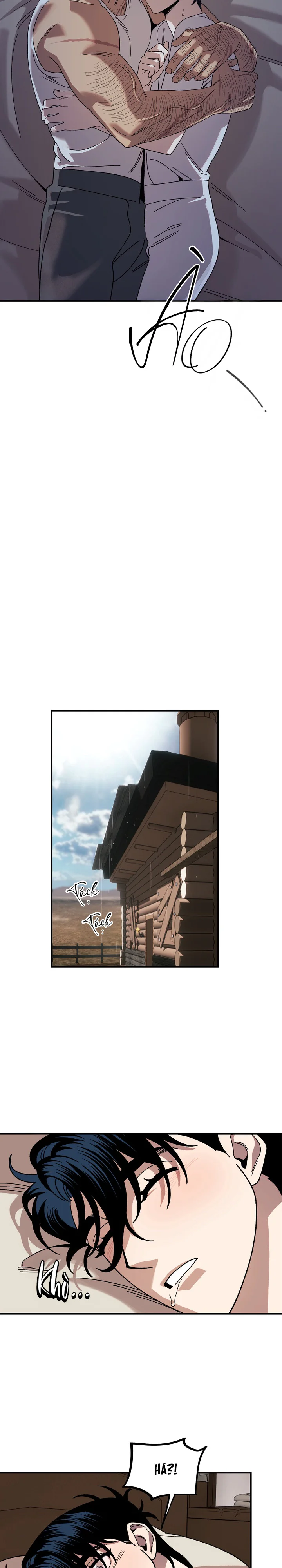 Đọc truyện Đàn Chó Nơi Nghĩa Địa - Chapter 3