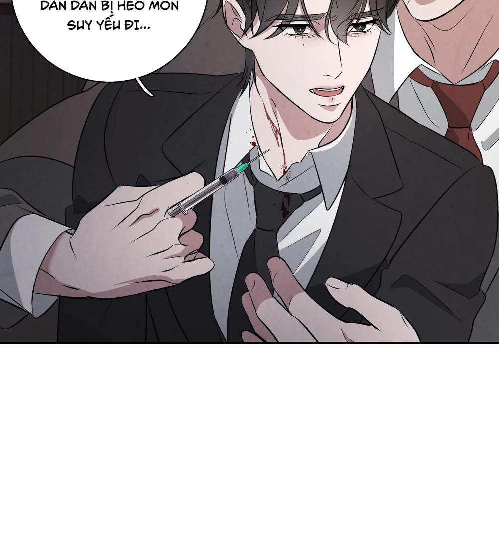 Đọc truyện Dear My Killer - Chapter 13