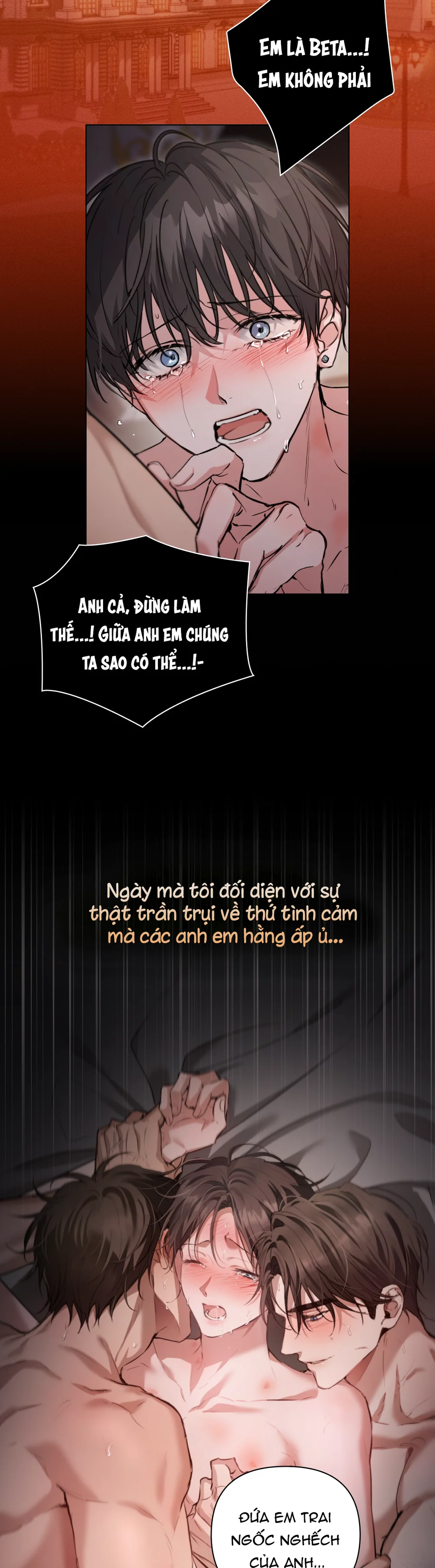Đọc truyện Bí Mật Của Anh Em Quý Tộc - Chapter 0