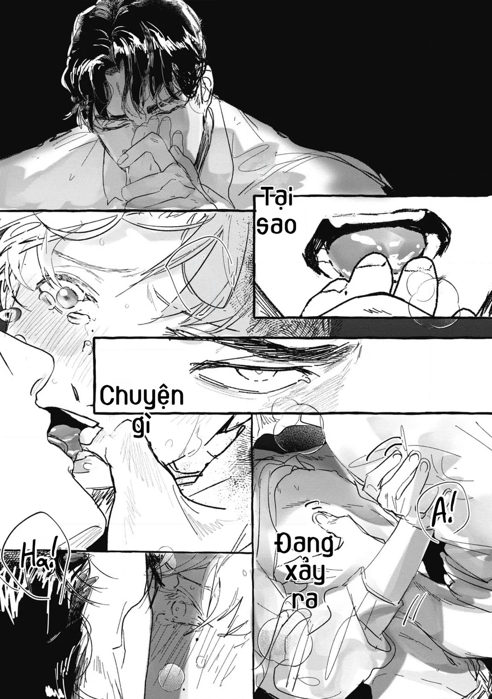 Đọc truyện Hắc Thú x Dạ Hoa - Chapter 5