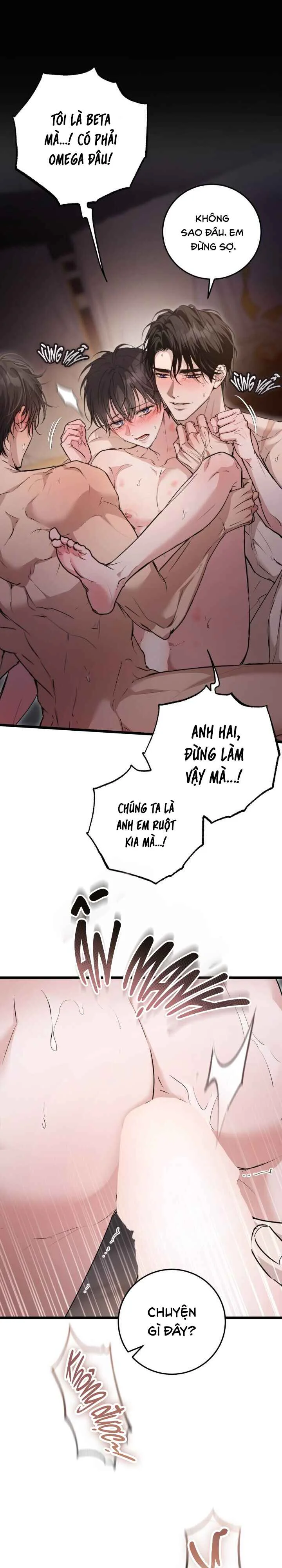 Đọc truyện GÓC KHUẤT CỦA ANH EM NHÀ QUÝ TỘC - Chapter 1