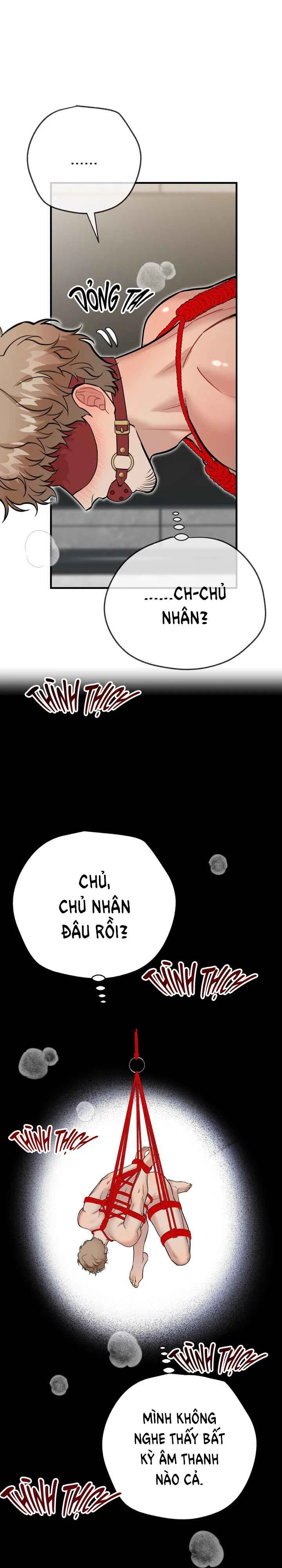 Đọc truyện HƯỚNG DẪN BDSM CƠ BẢN - Chapter 37