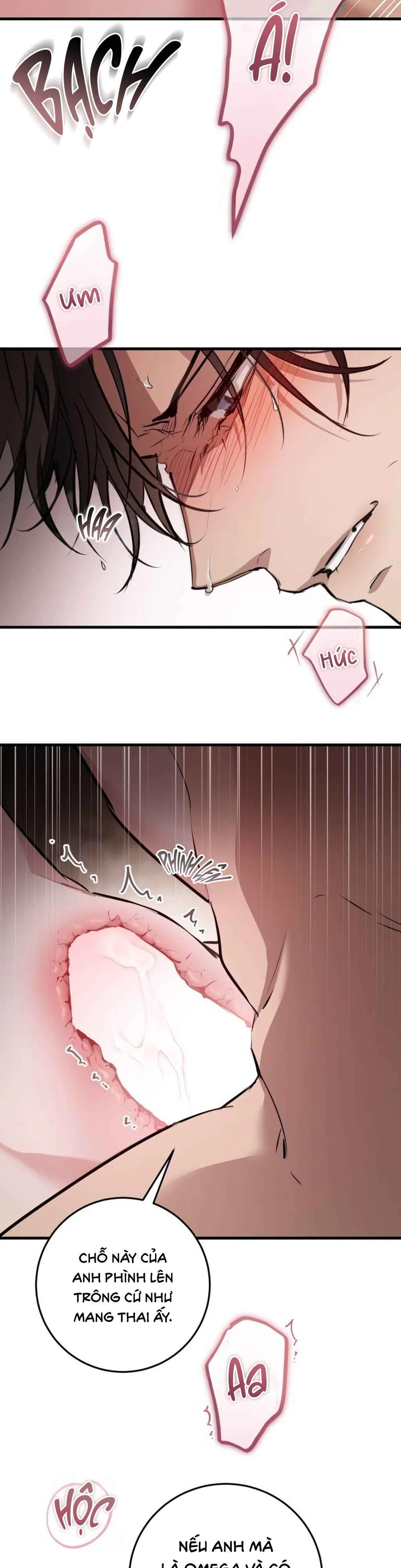 Đọc truyện GÓC KHUẤT CỦA ANH EM NHÀ QUÝ TỘC - Chapter 7