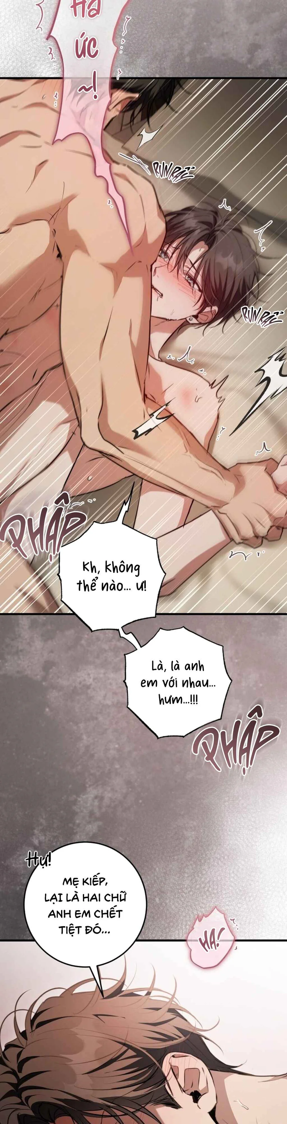 Đọc truyện GÓC KHUẤT CỦA ANH EM NHÀ QUÝ TỘC - Chapter 7