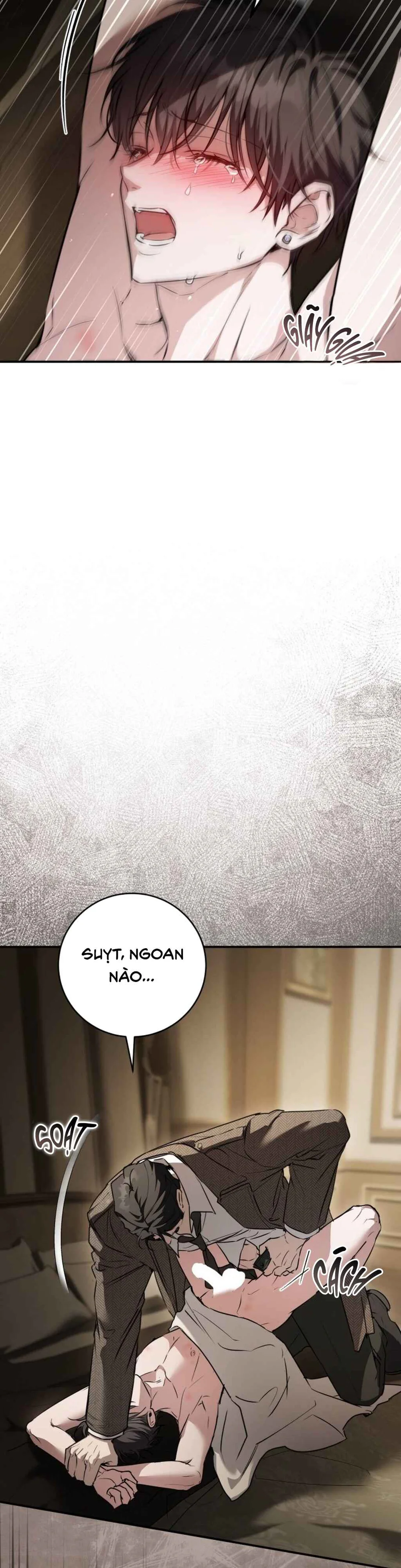Đọc truyện GÓC KHUẤT CỦA ANH EM NHÀ QUÝ TỘC - Chapter 8