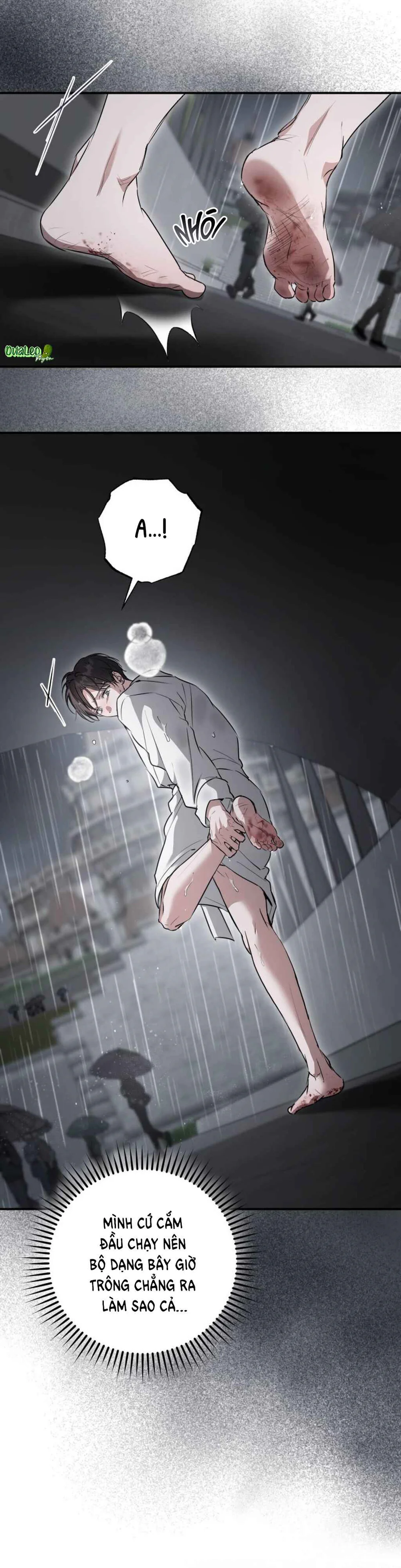 Đọc truyện GÓC KHUẤT CỦA ANH EM NHÀ QUÝ TỘC - Chapter 11
