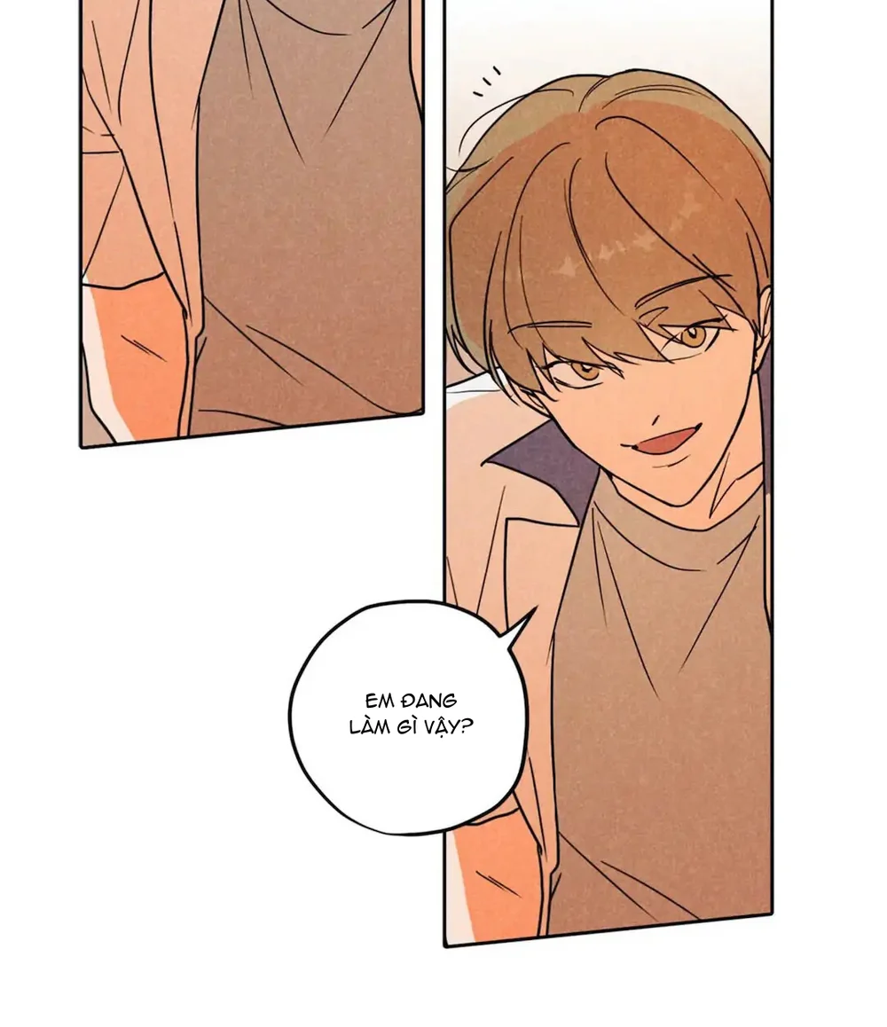Đọc truyện Một Bó Rau Chân Vịt - Chapter 17