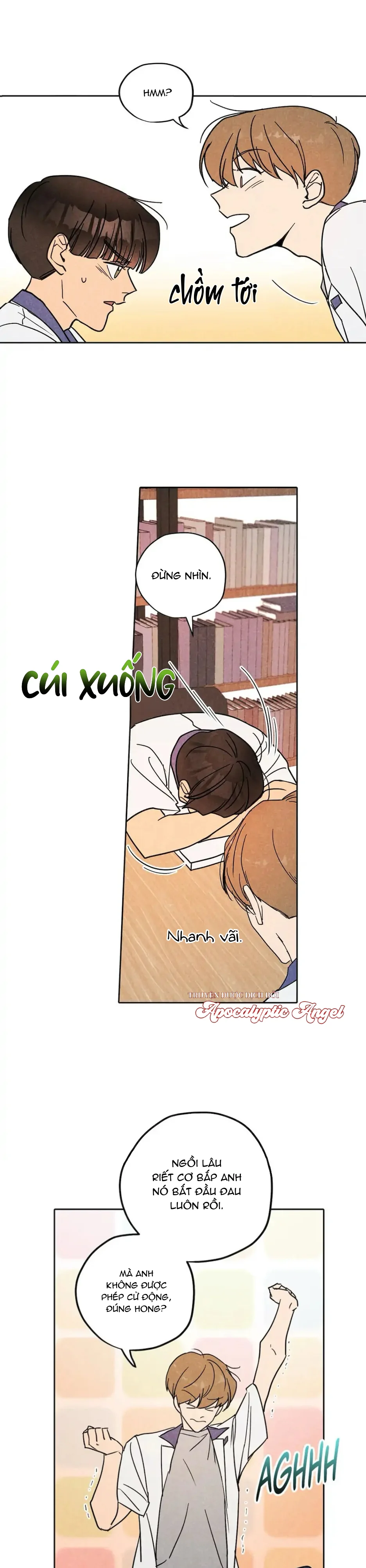 Đọc truyện Một Bó Rau Chân Vịt - Chapter 17