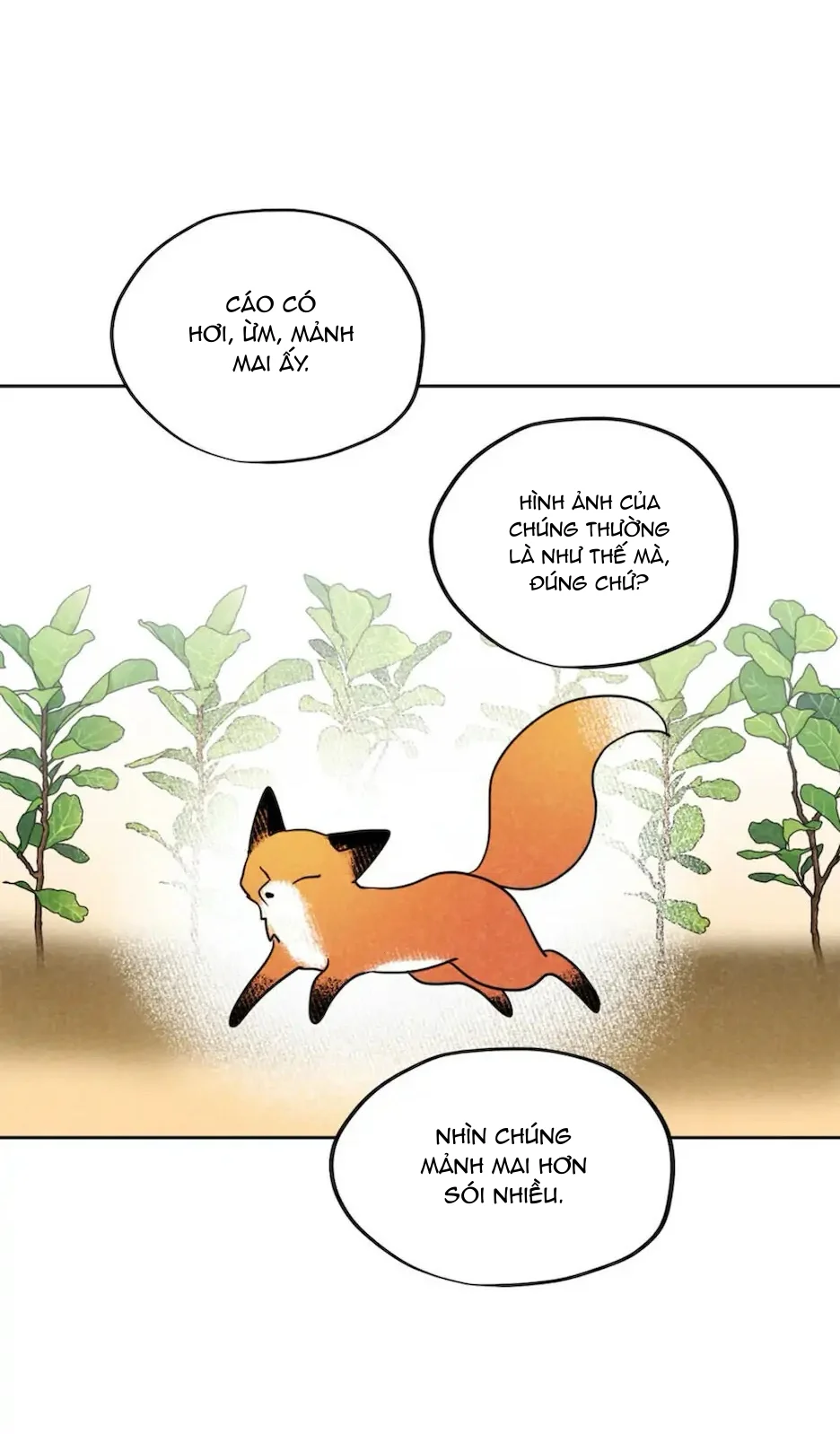 Đọc truyện Một Bó Rau Chân Vịt - Chapter 17