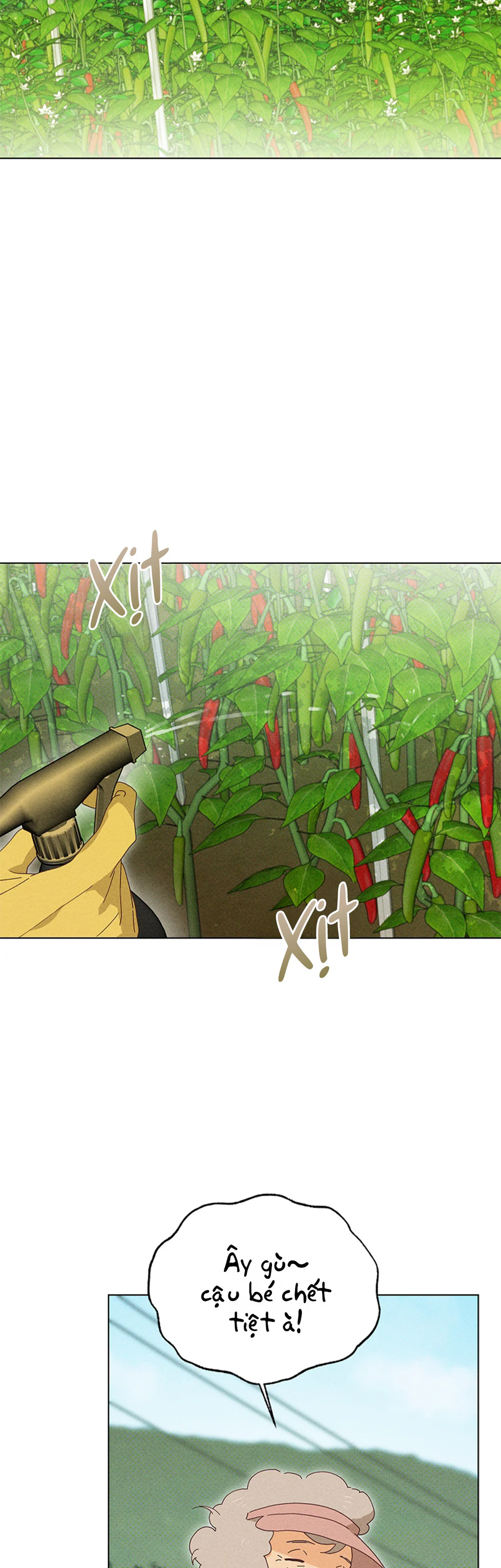 Đọc truyện Anh Trai Trên Ruộng Ớt - Chapter 21
