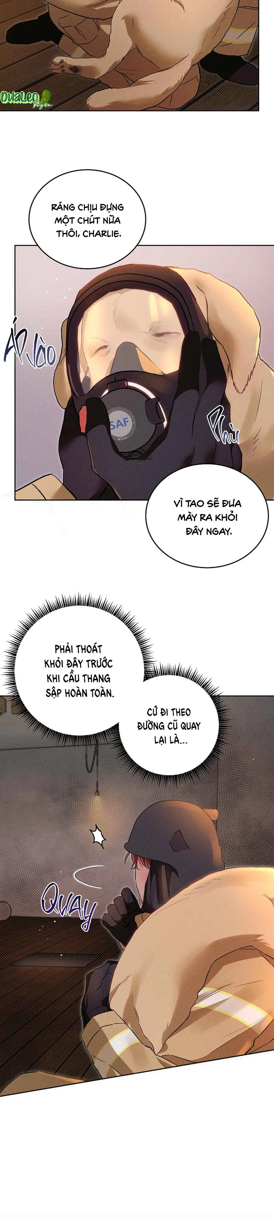 Đọc truyện (ABO) DESIRE ME IF YOU CAN - Chapter 13
