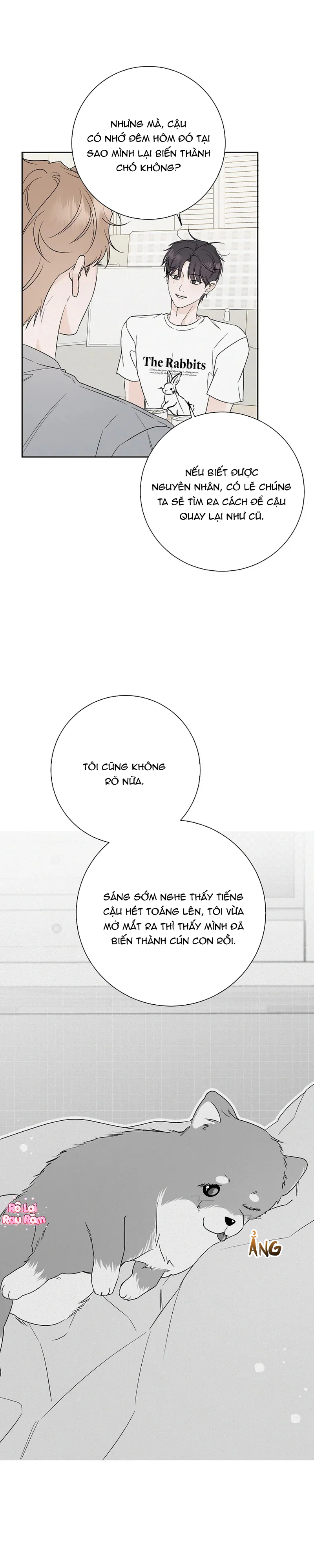 Đọc truyện CÚN CƯNG YÊU DẤU - Chapter 4