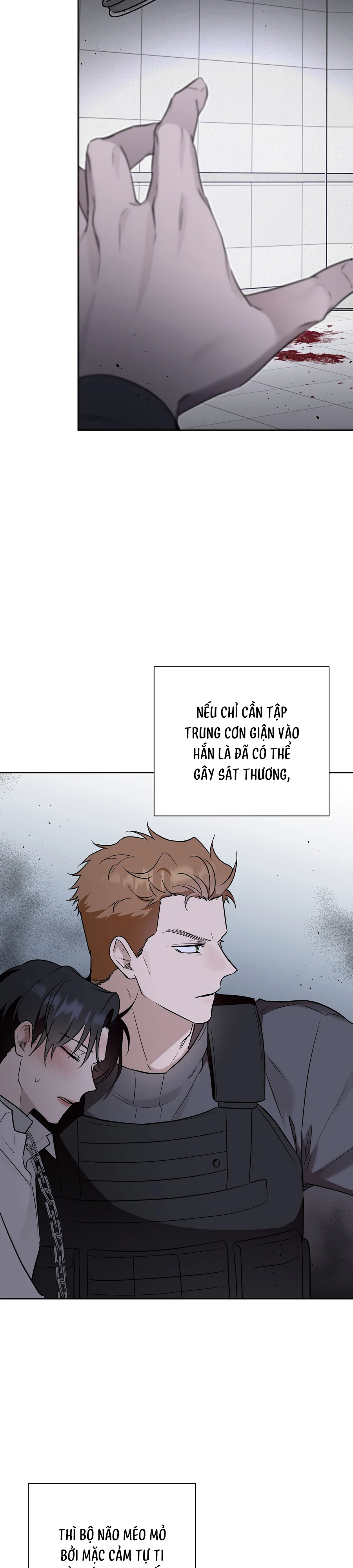 Đọc truyện OMEGA HOÀN HẢO CỦA TÔI - Chapter 57