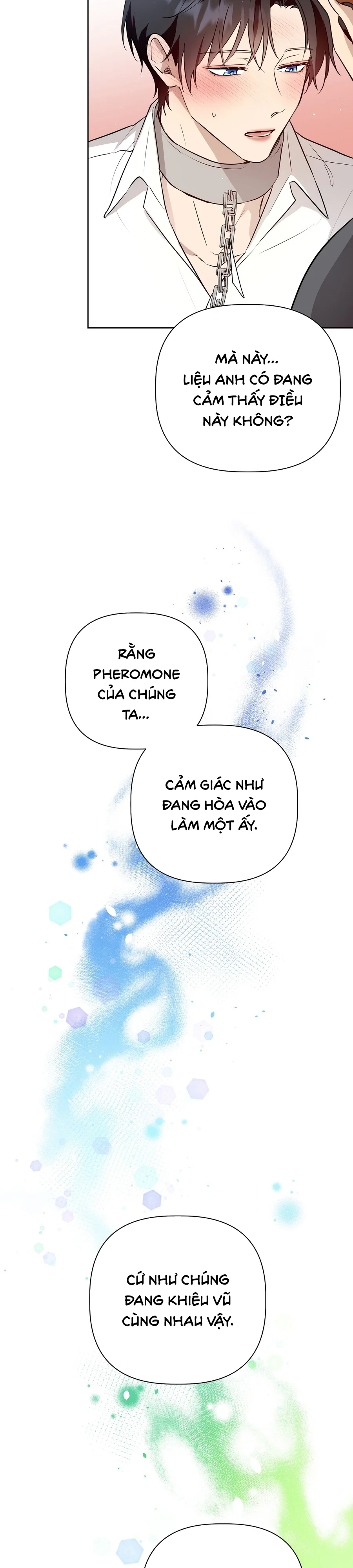 Đọc truyện OMEGA HOÀN HẢO CỦA TÔI - Chapter 57