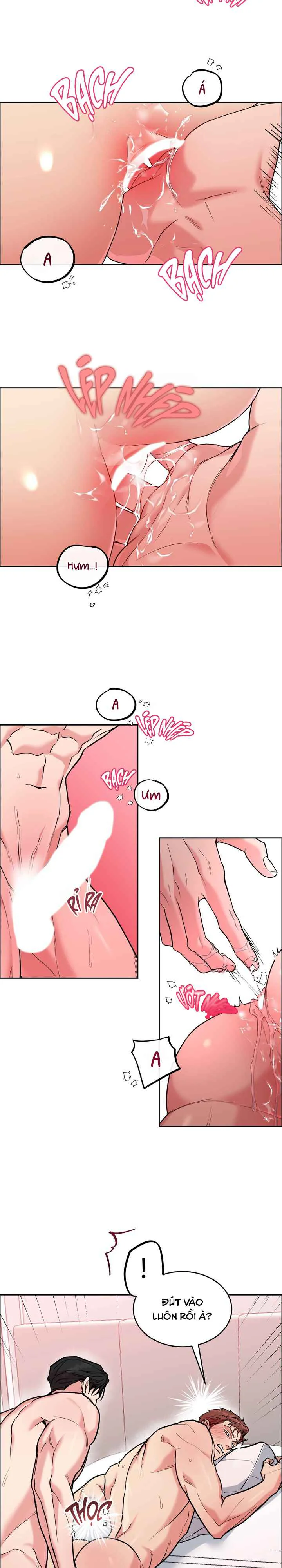 Đọc truyện CHÓ VÀ CHIM - Chapter 76