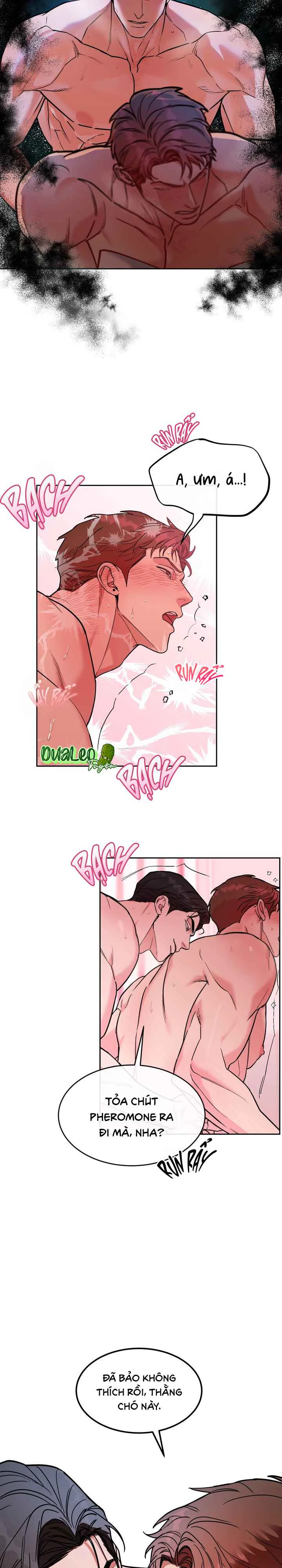 Đọc truyện CHÓ VÀ CHIM - Chapter 76