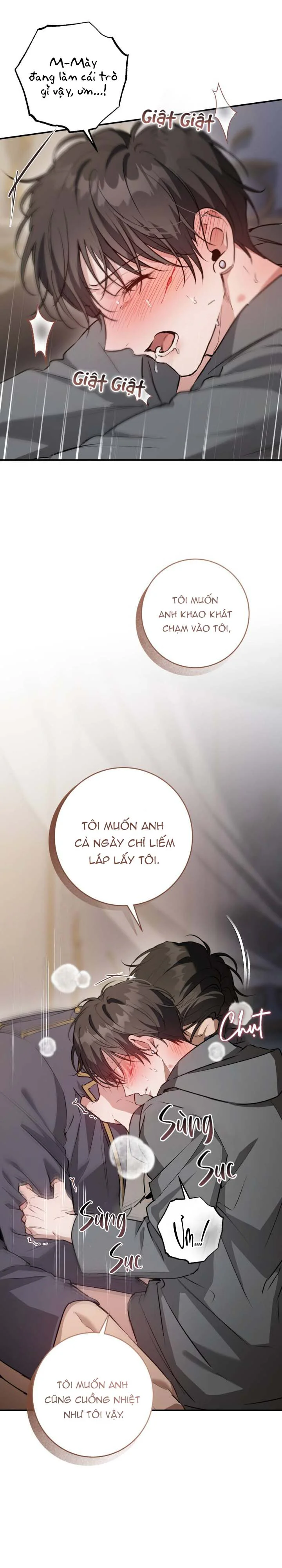 Đọc truyện Bí Mật Của Anh Em Quý Tộc - Chapter 16