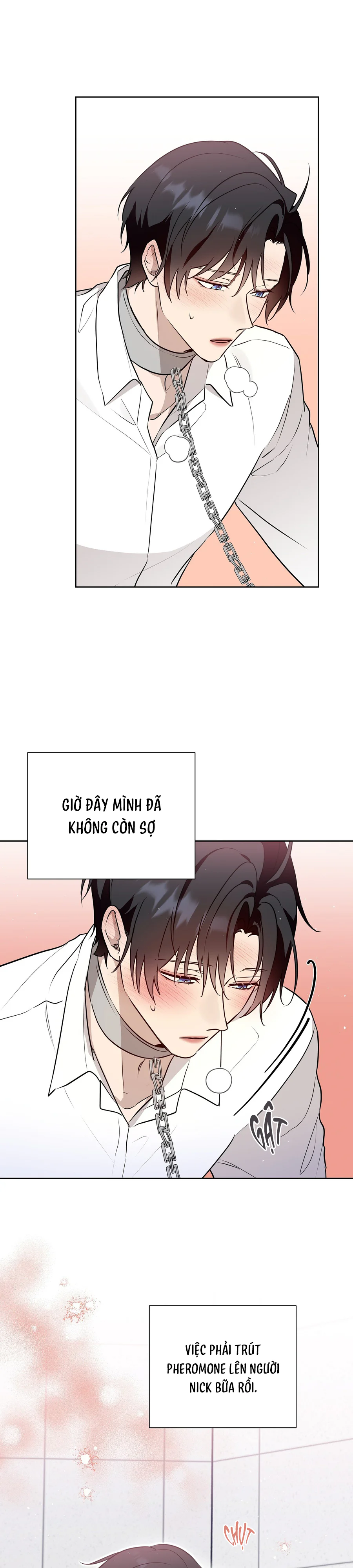 Đọc truyện OMEGA HOÀN HẢO CỦA TÔI - Chapter 58