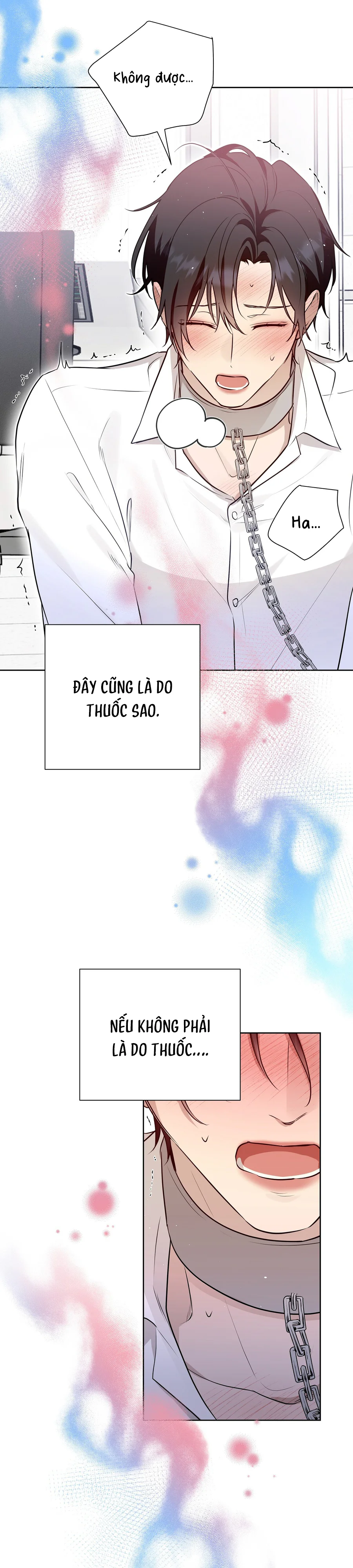 Đọc truyện OMEGA HOÀN HẢO CỦA TÔI - Chapter 58