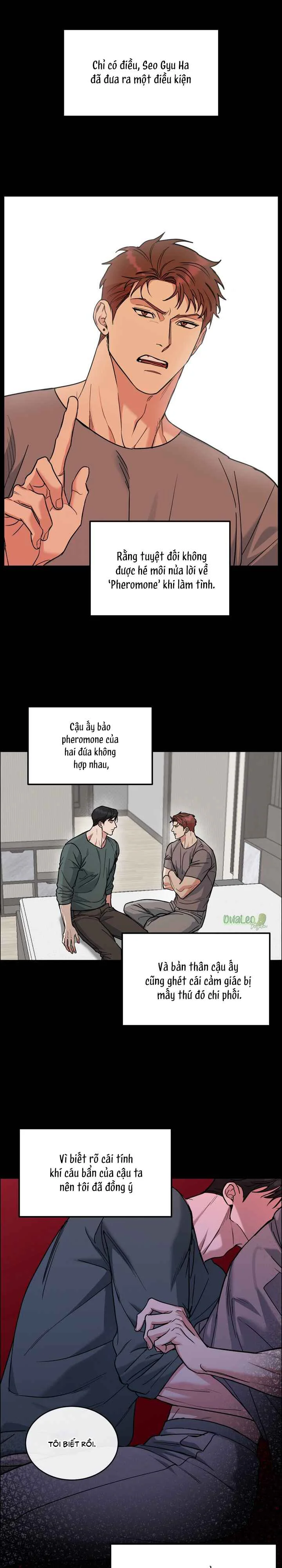 Đọc truyện CHÓ VÀ CHIM - Chapter 77