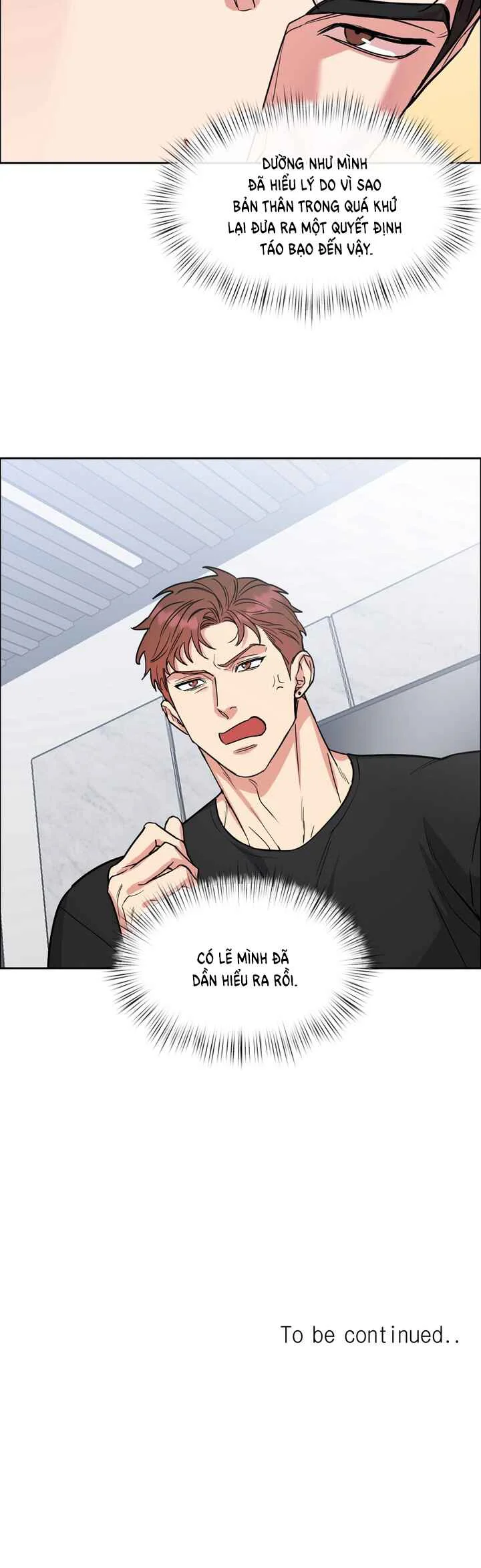 Đọc truyện CHÓ VÀ CHIM - Chapter 77