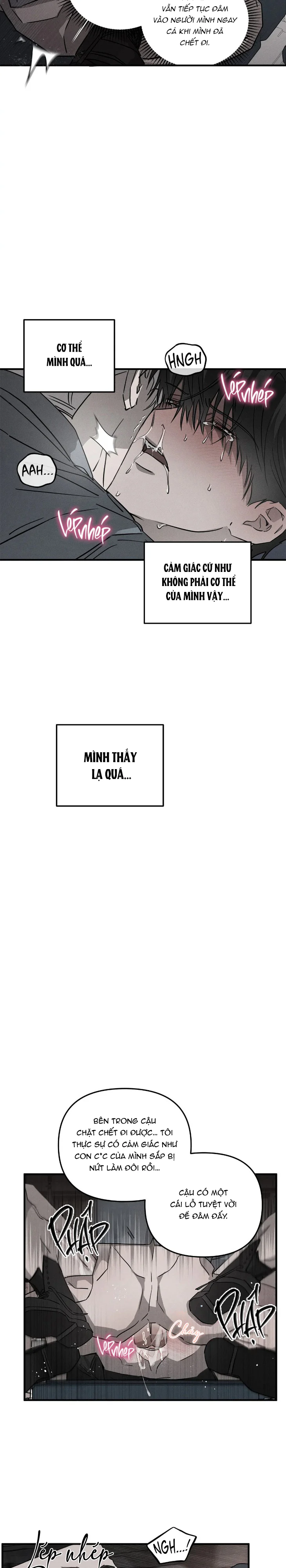 Đọc truyện Pietà (Không Che) - Chapter 5