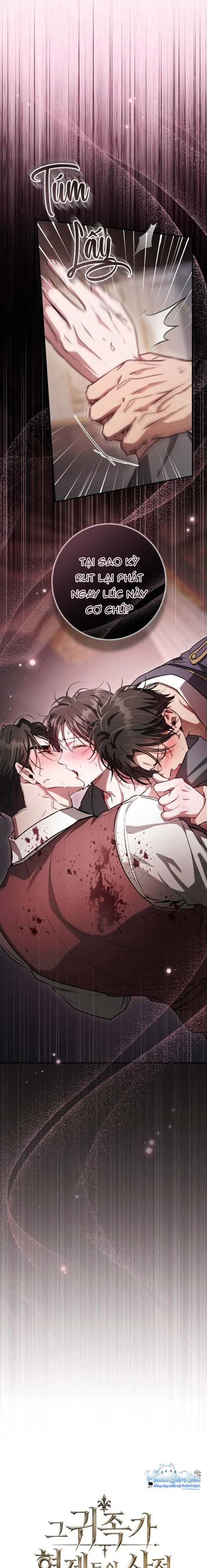 Đọc truyện Bí Mật Của Anh Em Quý Tộc - Chapter 17