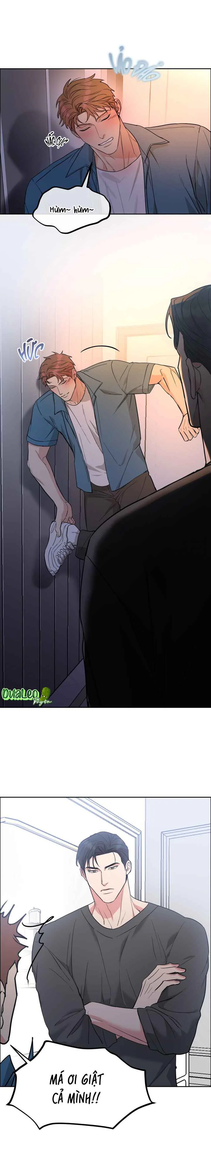 Đọc truyện CHÓ VÀ CHIM - Chapter 78