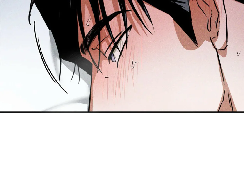 Đọc truyện Ánh Đèn - Chapter 19