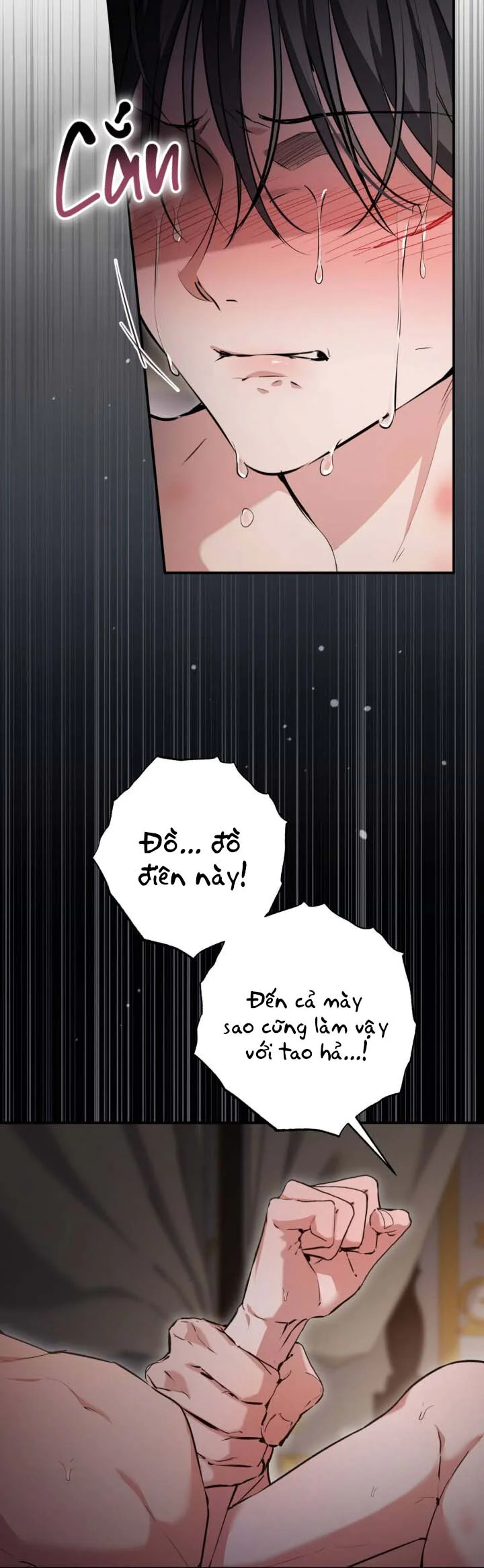 Đọc truyện Bí Mật Của Anh Em Quý Tộc - Chapter 18