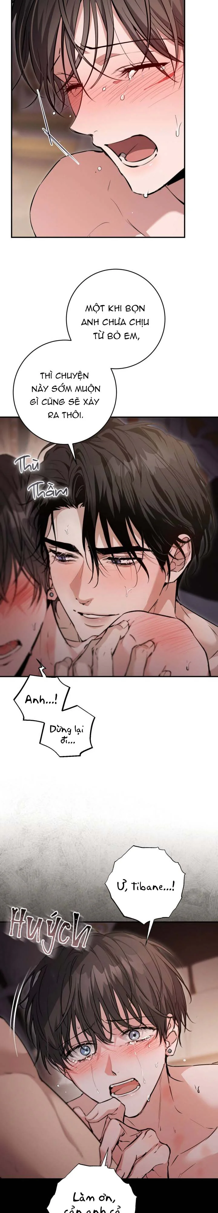 Đọc truyện Bí Mật Của Anh Em Quý Tộc - Chapter 18