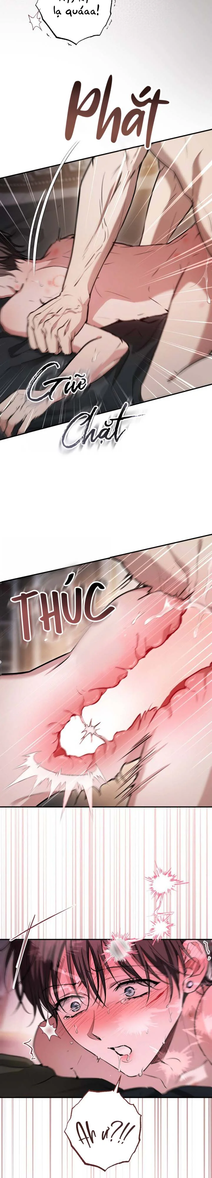Đọc truyện Bí Mật Của Anh Em Quý Tộc - Chapter 18