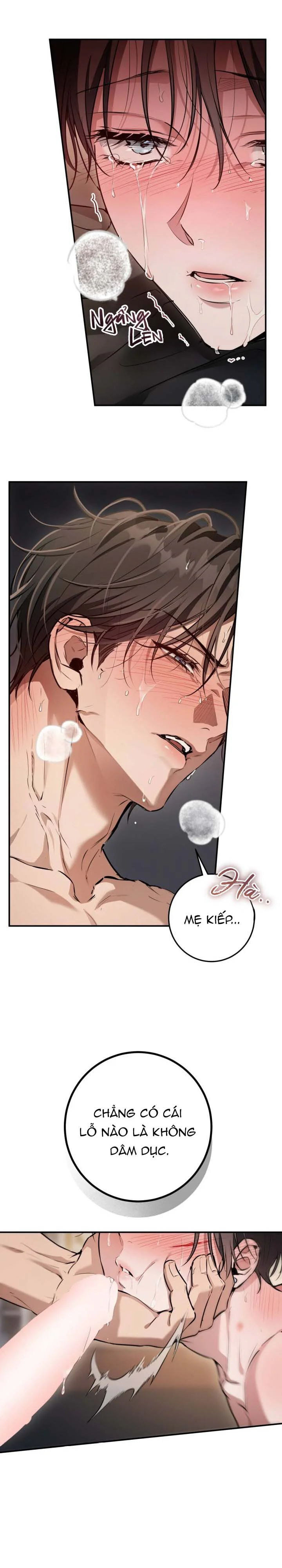 Đọc truyện Bí Mật Của Anh Em Quý Tộc - Chapter 18