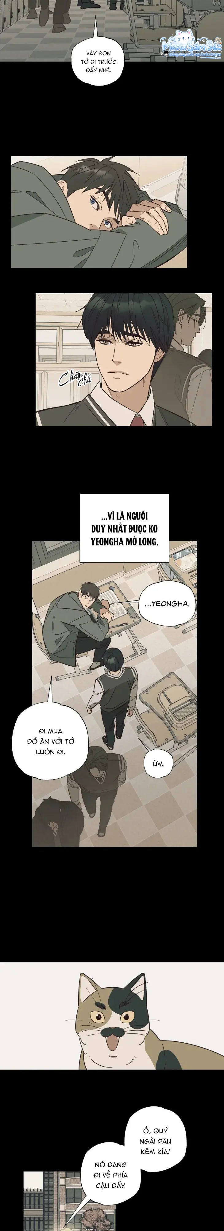 Đọc truyện Purrfect Choice - Chapter 1