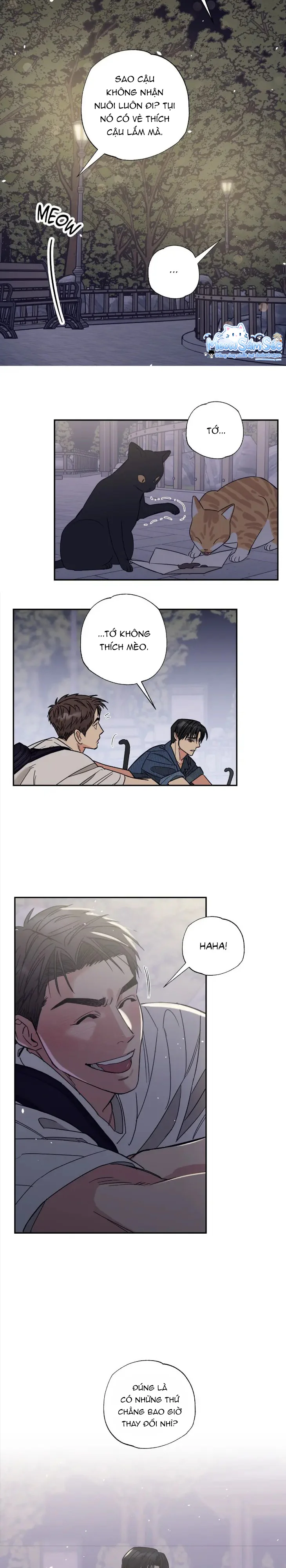 Đọc truyện Purrfect Choice - Chapter 1